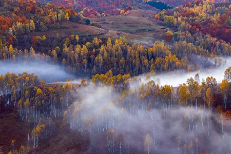 Autumn vibes in the morning
