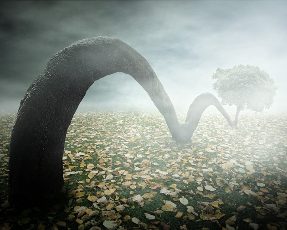 jumping tree von Vladimir Laur