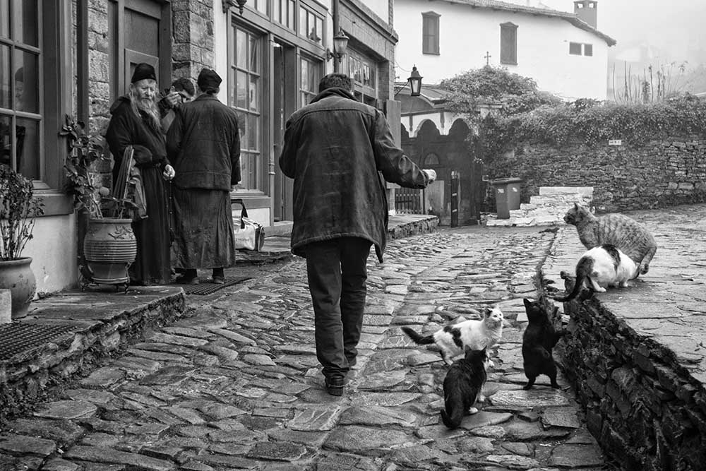 Teile mit deinen Freunden von Vladislav Pavloviƒá