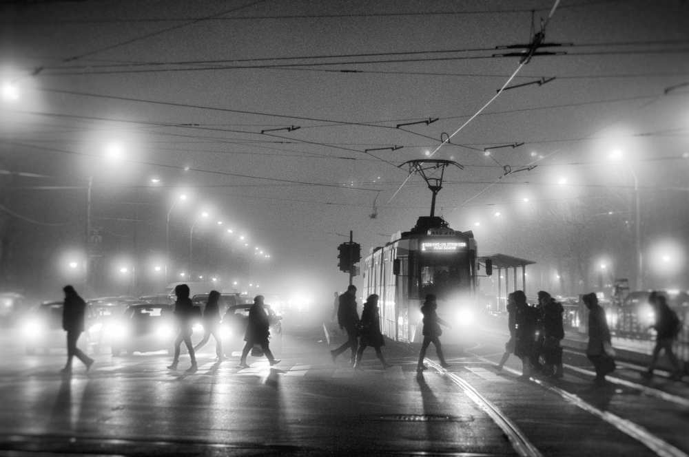 In the mist von Vrabiuta Albert Adrian