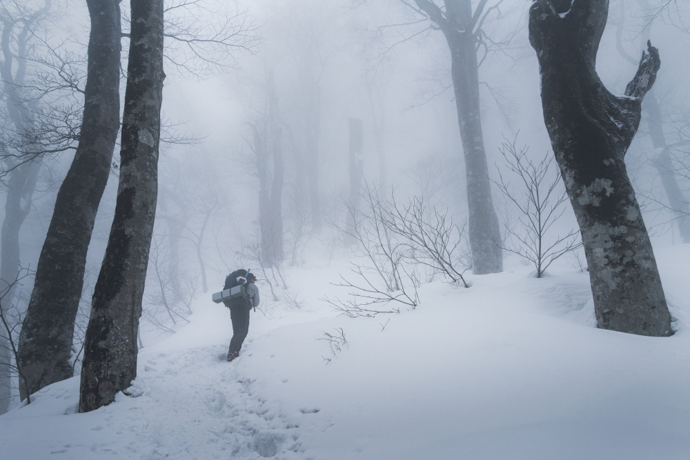Climber von Vu van quan