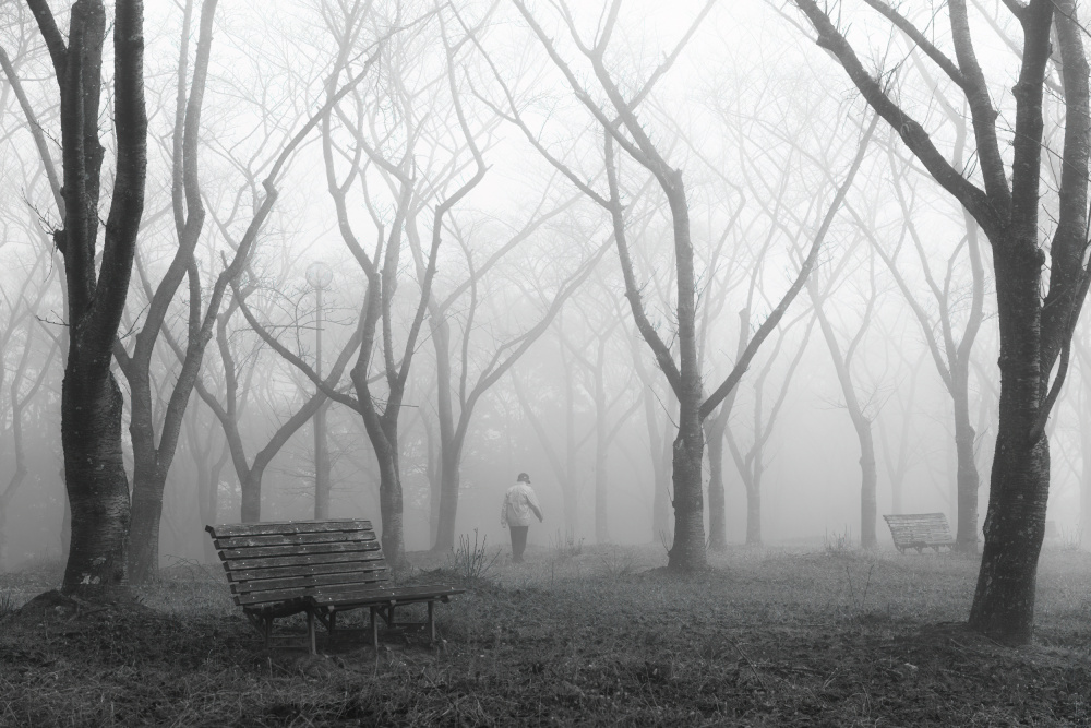 Morning walker von Vu van quan