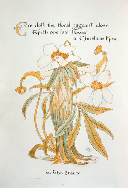Christrose von Walter Crane