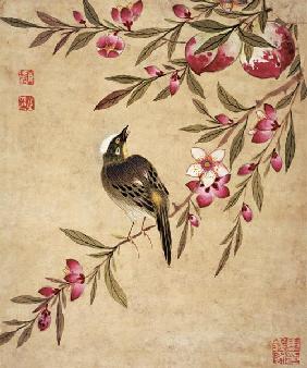 Aus einer Gemäldereihe von Vögeln und Früchten
