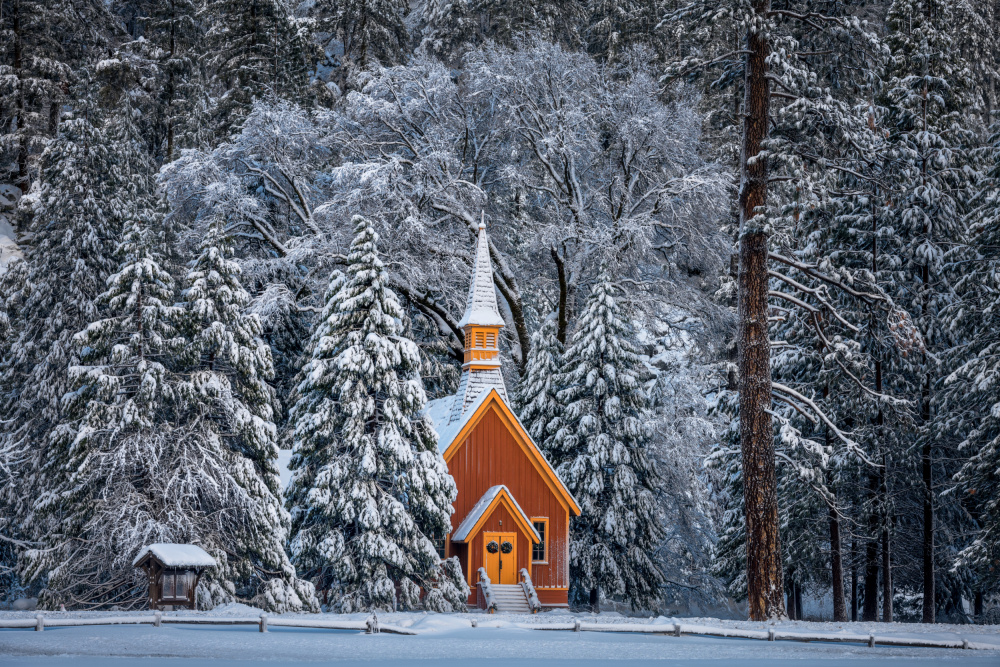 Merry White Christmas to All von Wanghan Li