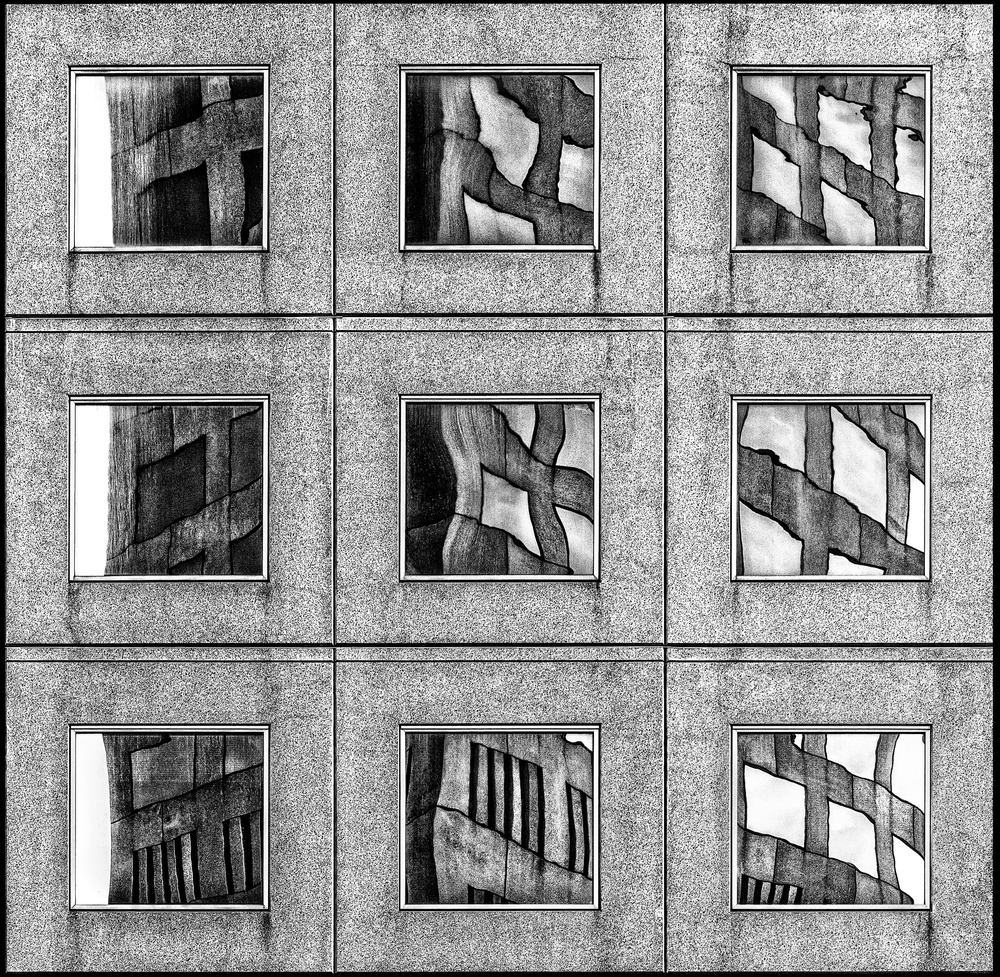 The Meaning Of Life von Wayne Pearson