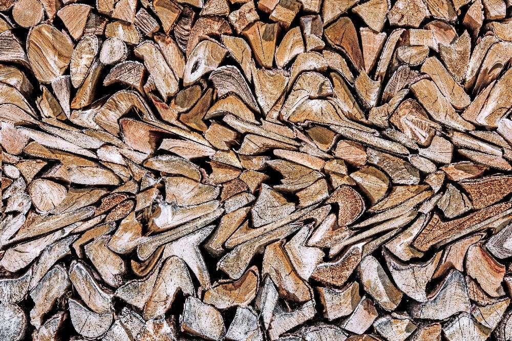 Gegen das Korn von Wayne Pearson