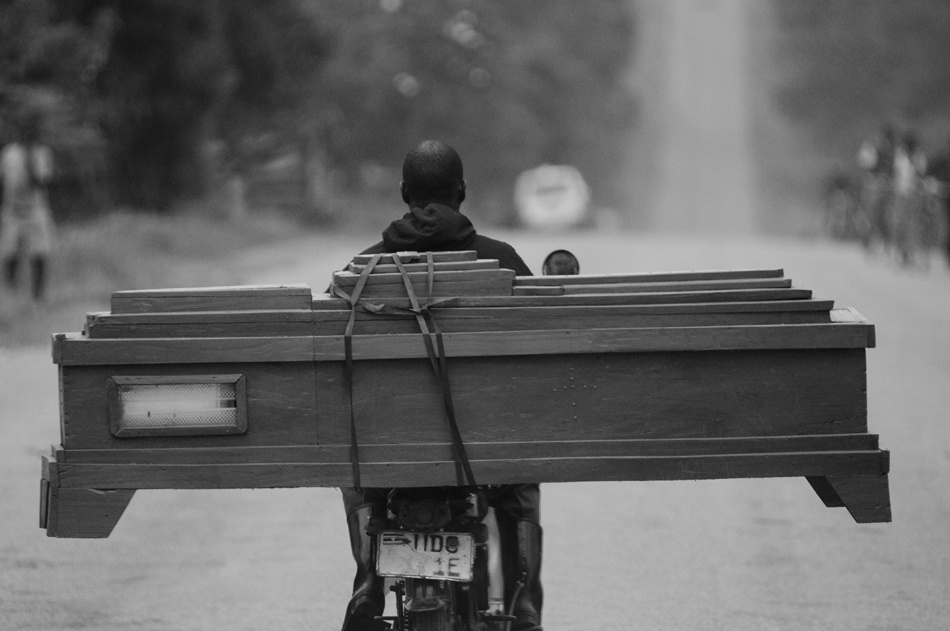 Lifespan Is Life\'s Plan von Wayne Pearson