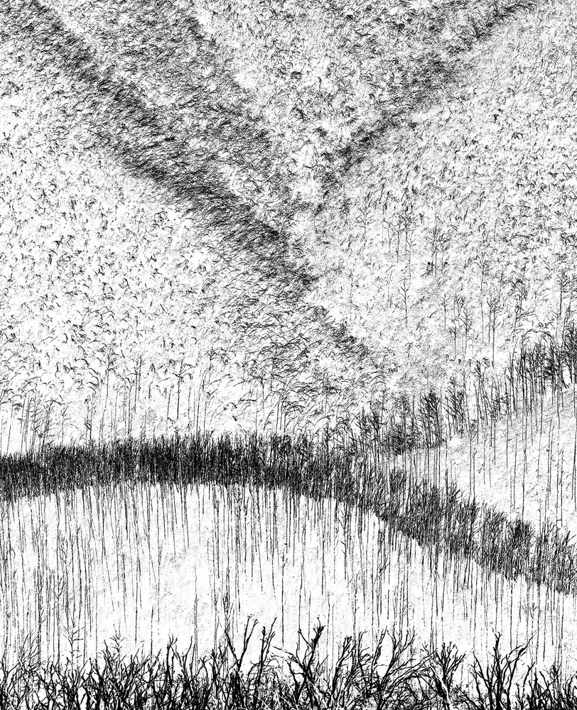 Back From The Dead von Wayne Pearson