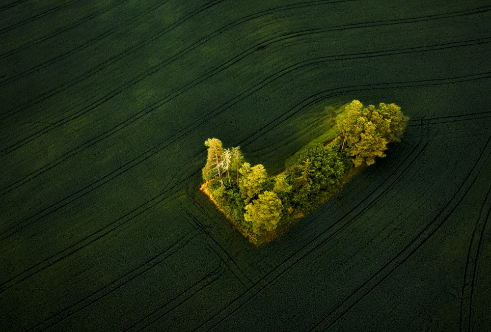 "Island" von Wei (David) Dai