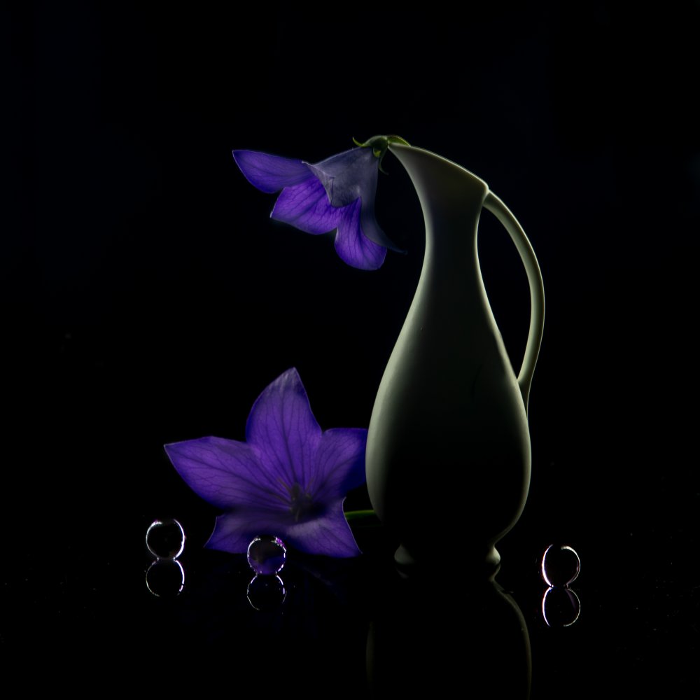 Summer night von Wendy Xu