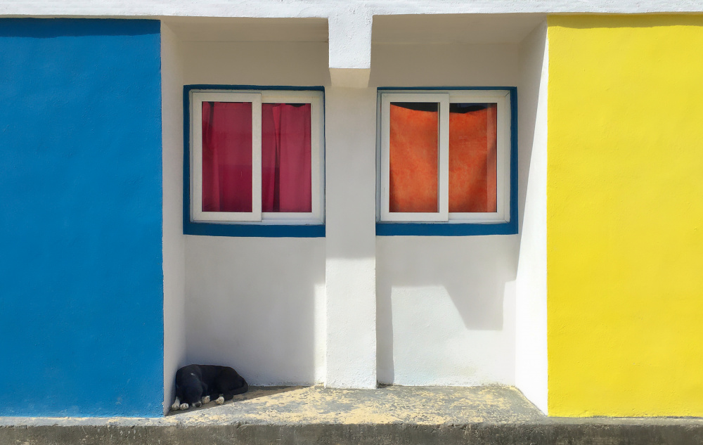 Sleepy dog von wiebe wilbers