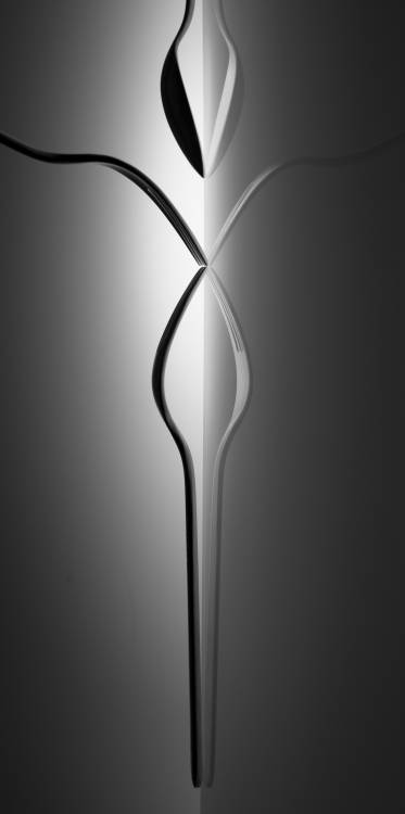 Lady von Wieteke De Kogel