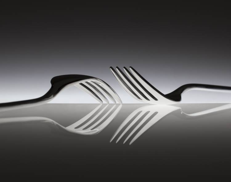 Opposites von Wieteke De Kogel