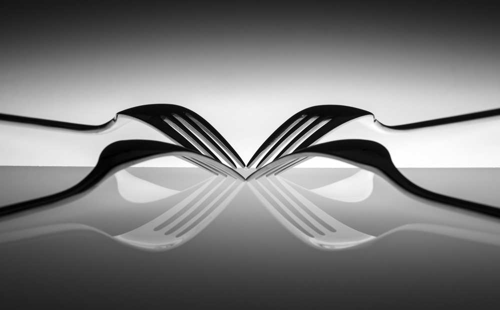 Spider von Wieteke De Kogel