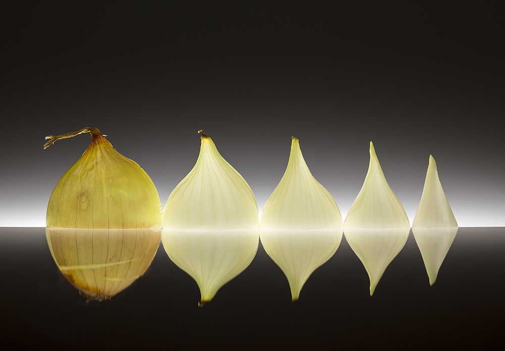 Striptease von Wieteke De Kogel