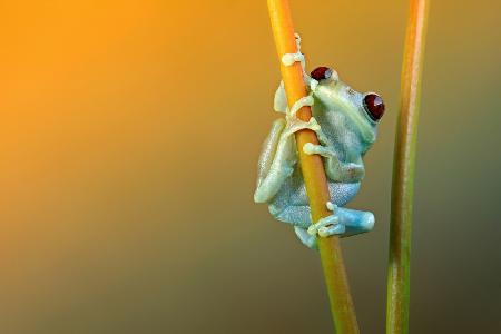 Love at first sight...