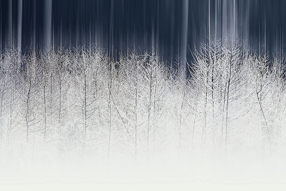 Winterfairy von Wil Mijer