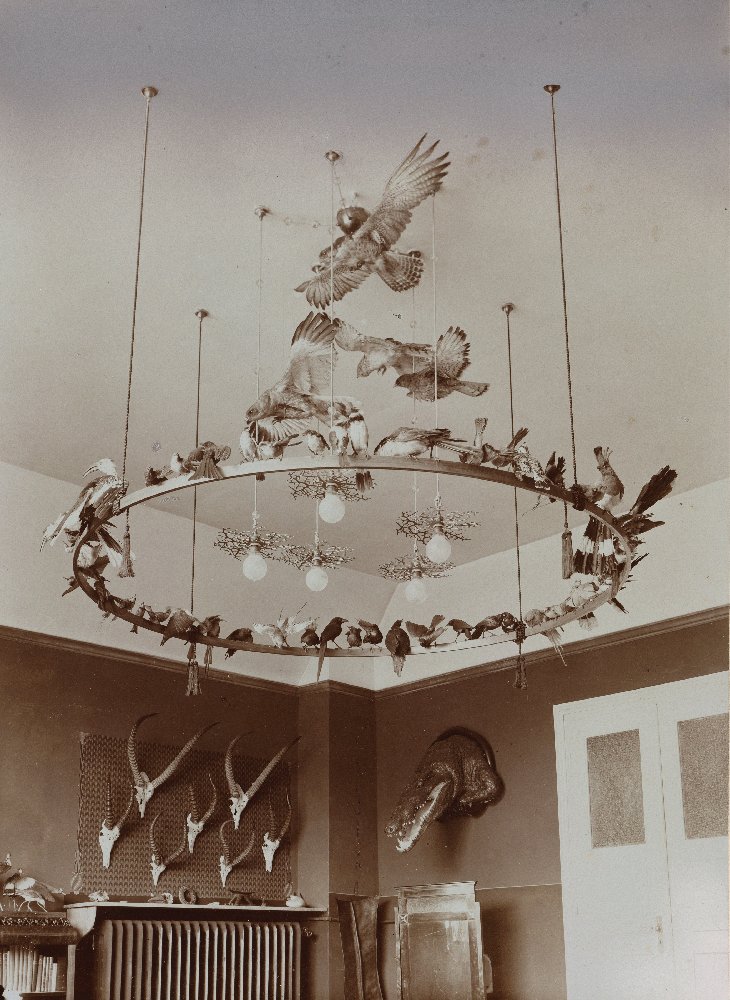 Untitled (Interior of a Big Game Hunters Apartment with Wall Trophies and Ceiling Hangings) von Wilhelm Hümmer