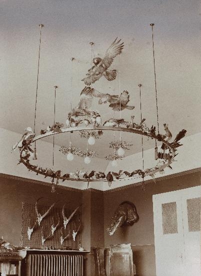 Untitled (Interior of a Big Game Hunters Apartment with Wall Trophies and Ceiling Hangings)