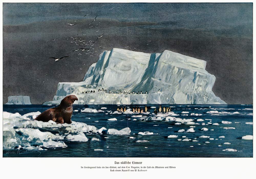 Südl. Polarmeer von Wilhelm Kuhnert