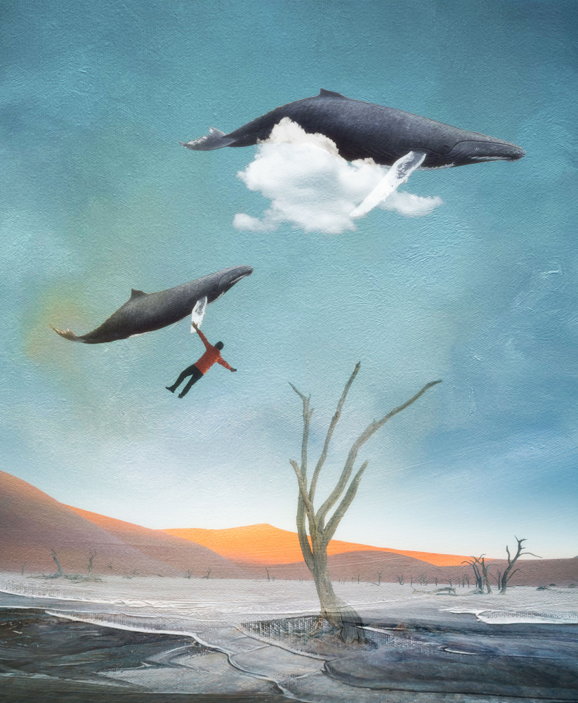 Changing von Willa Wei