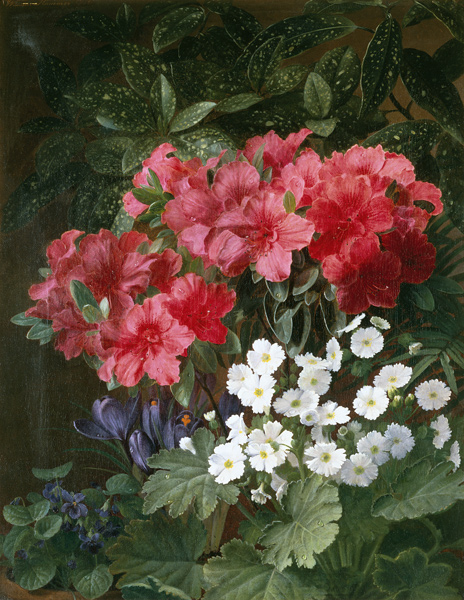Azaleen, Primeln, Krokus und Veilchen von William Hammer
