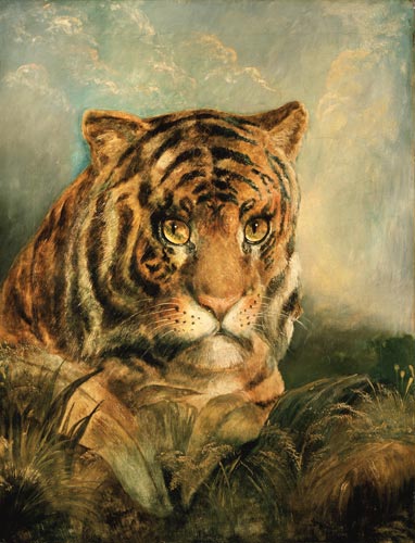 Tiger von William Huggins