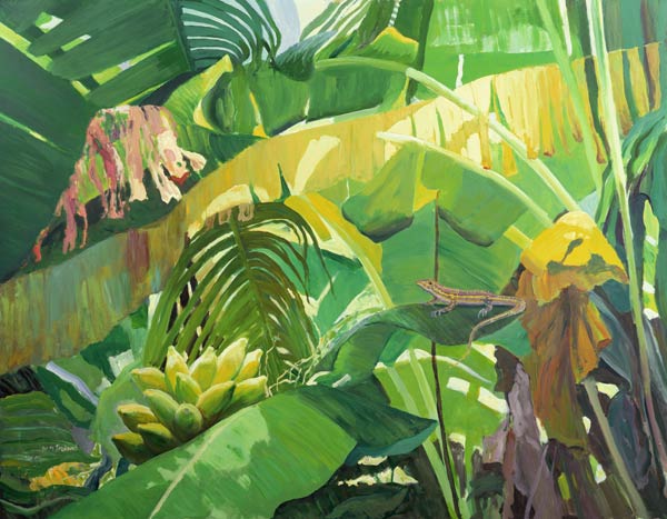 Gekko von William  Ireland