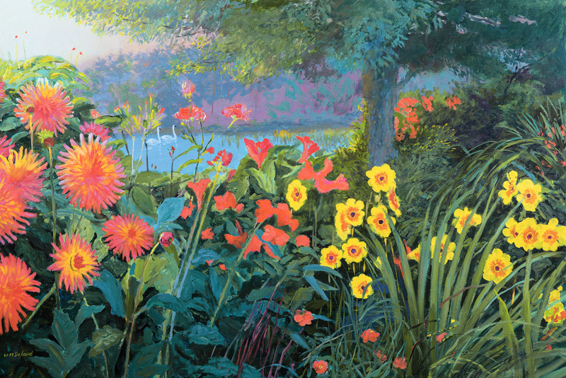 Swans von William  Ireland