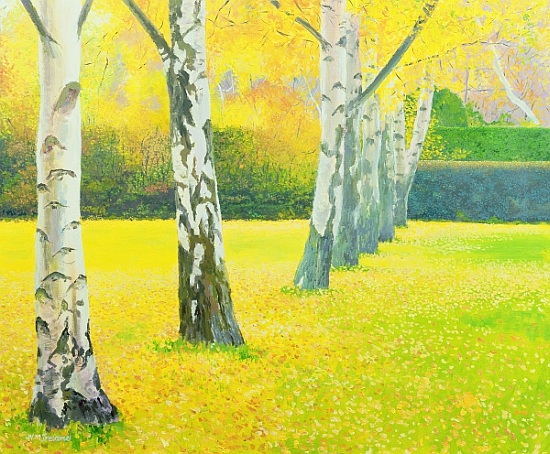 Autumn Gold von William  Ireland