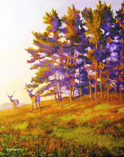 Startled von William  Ireland