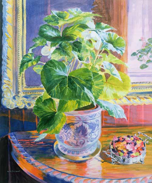 Towards the Light von William  Ireland