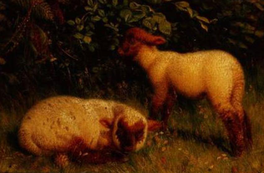 William J. Webb or Webbe