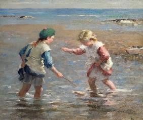 Playing in the Shallows