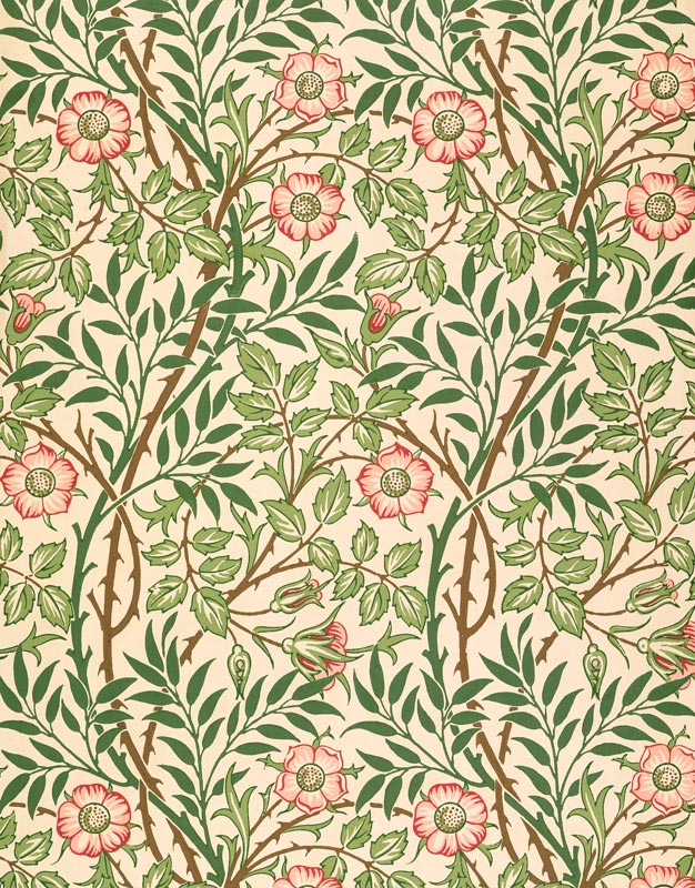 'Sweet Briar' design for wallpaper, printed by John Henry Dearle (1860-1932) 1917 von William  Morris
