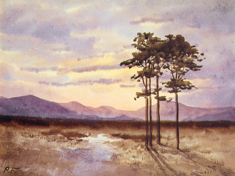 Sunset, County Sligo on von William Percy French