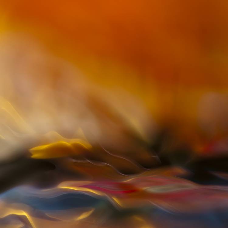 ohne Titel von Willy Marthinussen