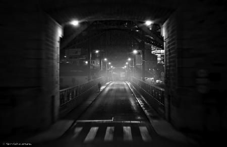 Halfway Ponte Luís I