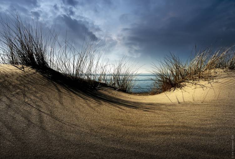 Dunes........... von Wim Schuurmans