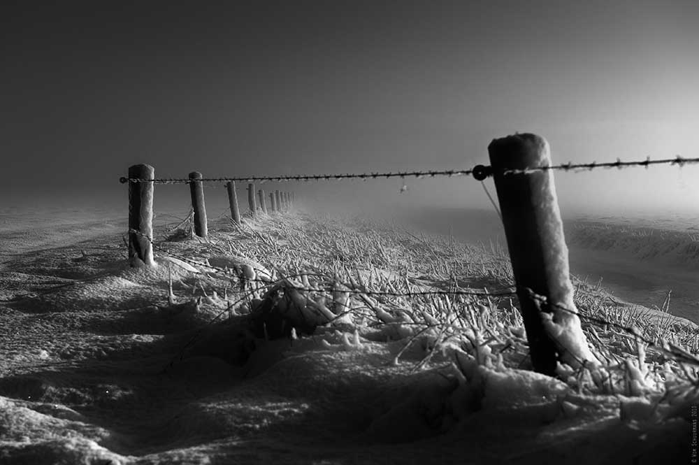 Einfrieren........... von Wim Schuurmans