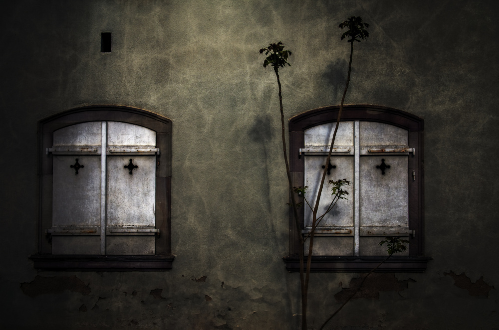 - Closed Shutters - von Wim Schuurmans