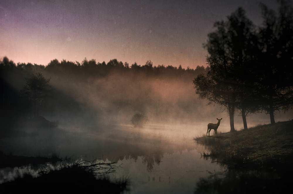 Steamy water........... von Wim Schuurmans