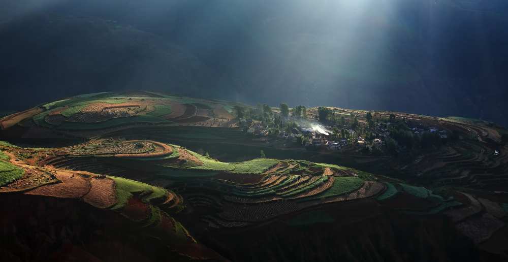 Magic Morning von Winters Zhang