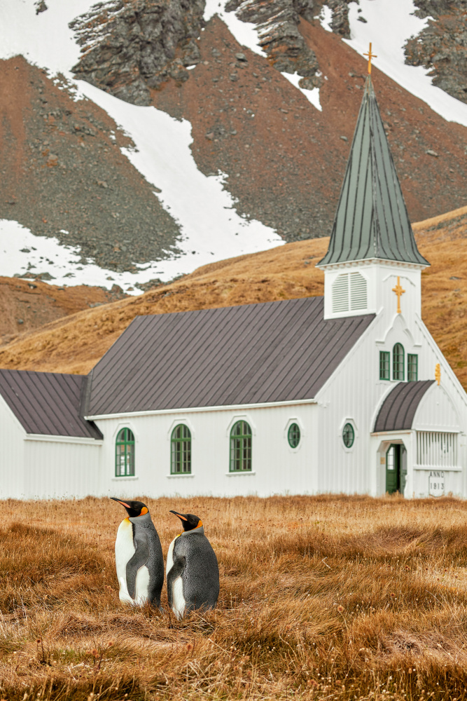 On the way to church von Wiolett