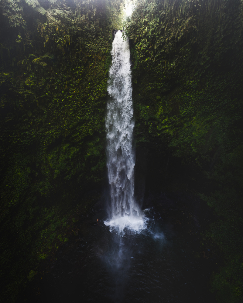 Nungnung von Witold Ziomek