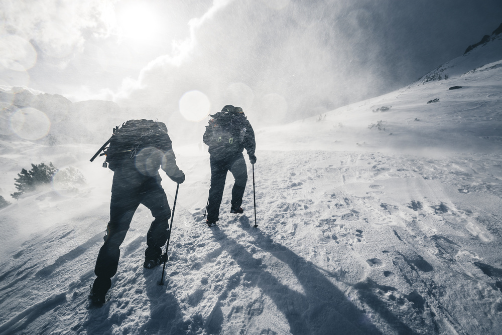 WIND von Witold Ziomek