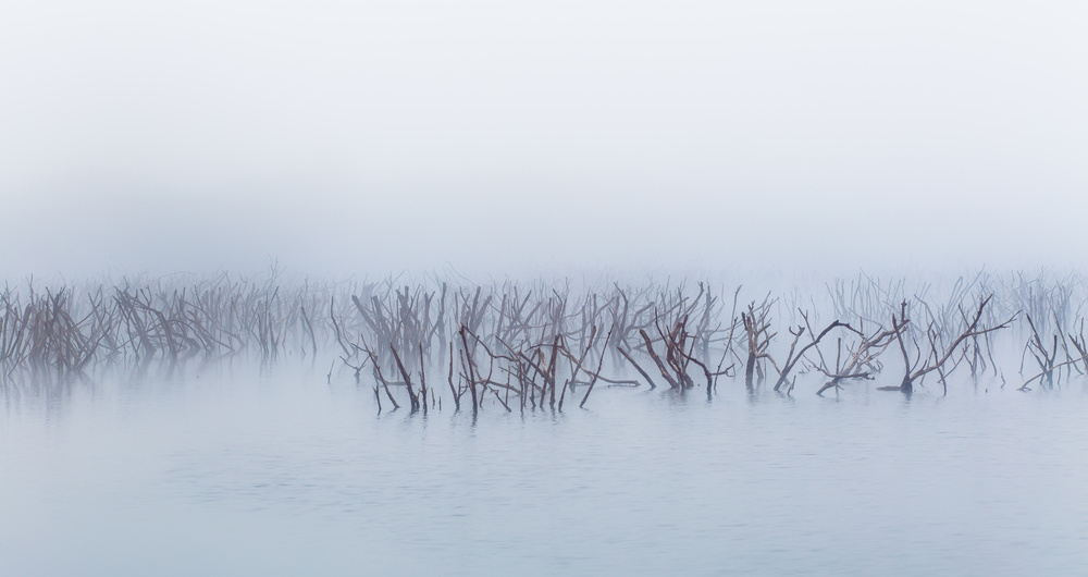 Wołanie von Wojciech Łączkowski