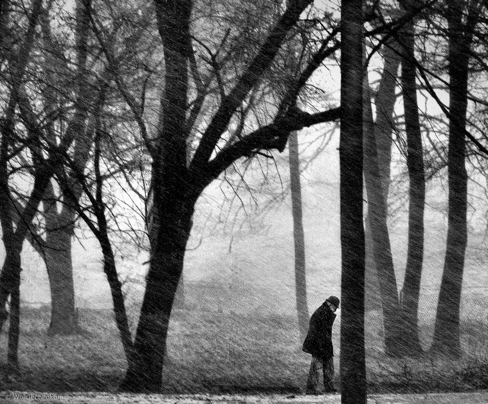 untitledl von Wojciech Pokora