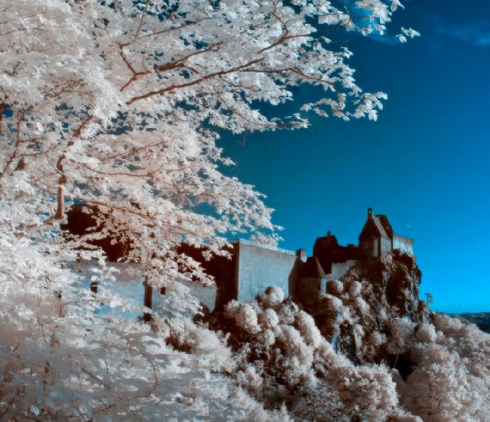 aggstein 1 von Wolfgang Simlinger